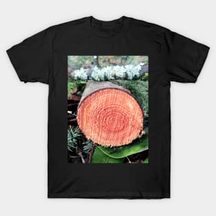 Smell the Wood? T-Shirt